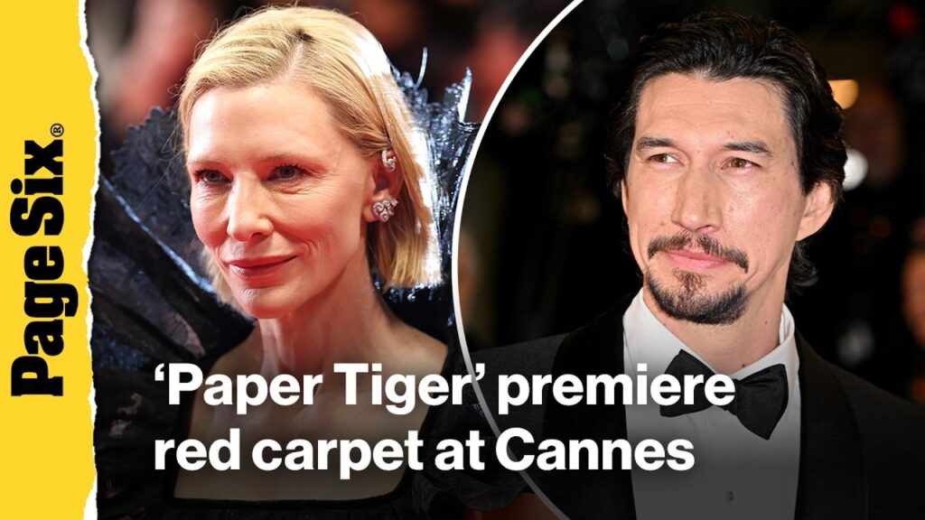 Paper Tiger premiere red carpet at Cannes Film Festival: Cate Blanchett, Adam Driver, Demi Moore Paper Tiger premiere red carpet at Cannes Film Festival: Cate Blanchett, Adam Driver, Demi Moore