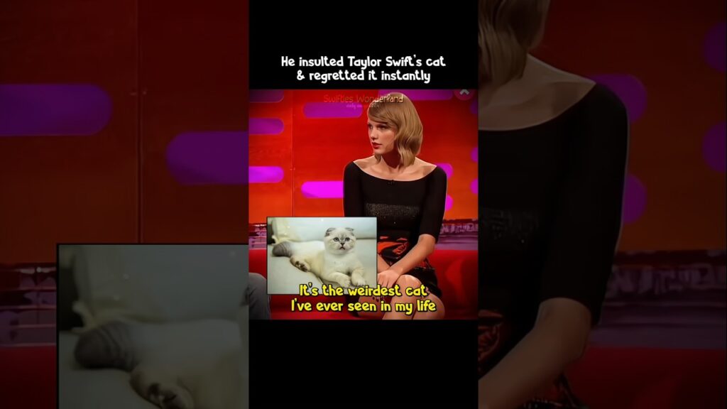 He insulted Taylor Swift’s cat & regretted It instantly | #taylorswift #shorts