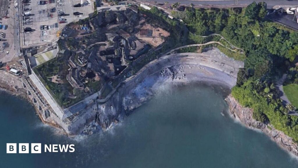 An aeriel view of Beacon Cove in Torquay. There's a small grey area, in the shape of a cove, at the centre which is surrounded by the sea, which is dark blue. Behind the beach are trees and to the left buildings.