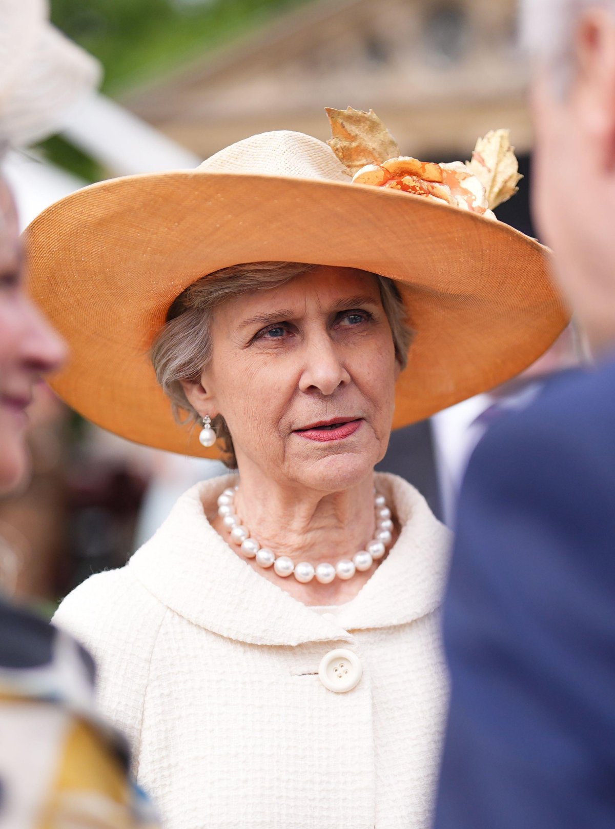 Members of the British royal family attend a garden party at Buckingham Palace on May 6, 2026 (Aaron Chown/PA Images/Alamy)