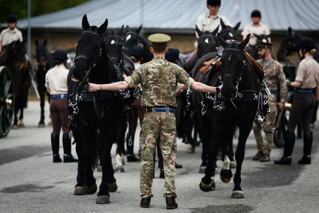 King Charles ‘shocked and saddened’ by death of soldier at Royal Windsor Horse Show King Charles ‘shocked and saddened’ by death of soldier at Royal Windsor Horse Show
