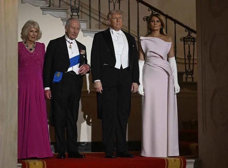 Melania Trump also chose a strapless design, wearing a delphinium pink silk gown by Christian Dior Haute Couture. By: MEGA