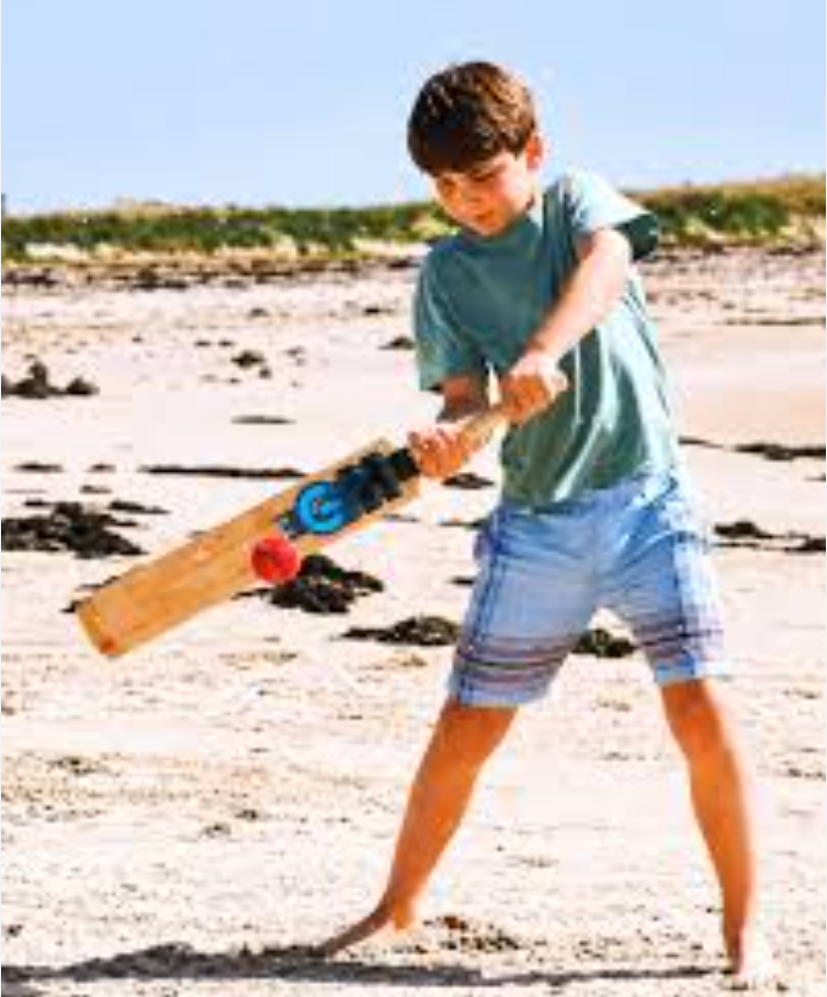Prince Louis playing cricket