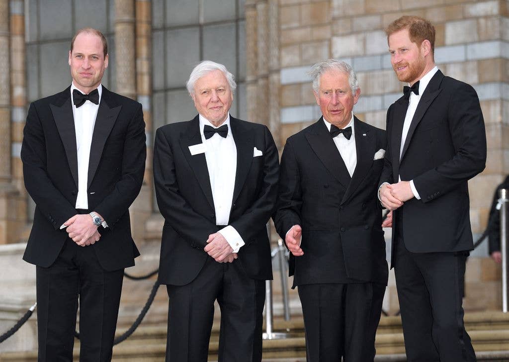 Prince William, Sir David Attenborough, King Charles and Prince Harry dressed in tux