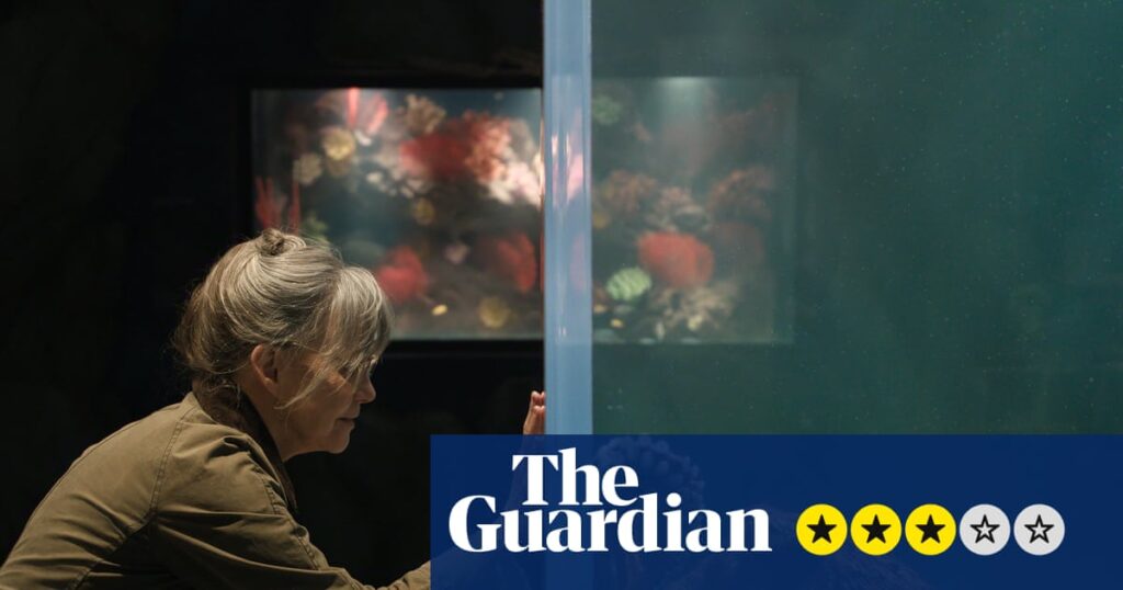 Remarkably Bright Creatures review – Sally Field bonds with octopus in gentle Netflix charmer | Sally Field