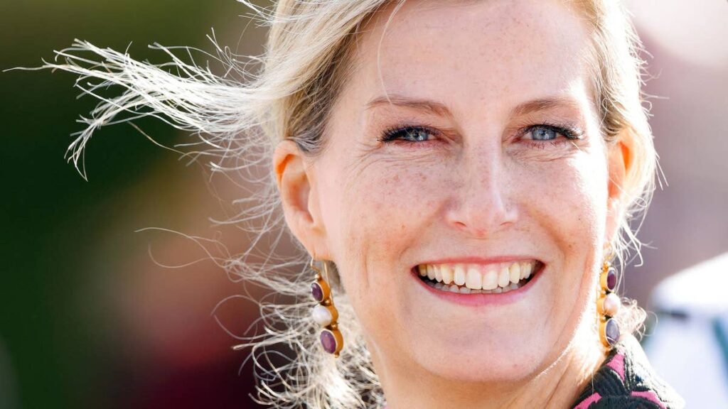 Duchess Sophie channels Princess Diana's most iconic '80s look as she coos over baby