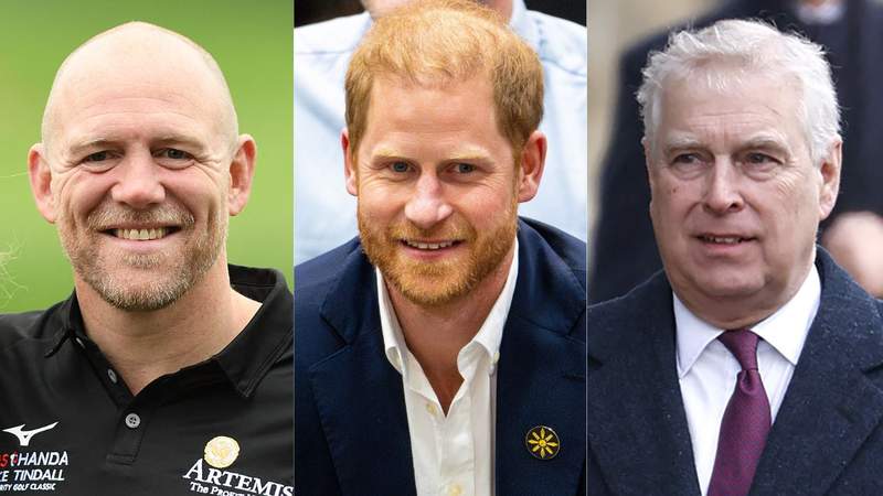 Royal family member makes rare remarks about Prince Harry and ex-Prince Andrew