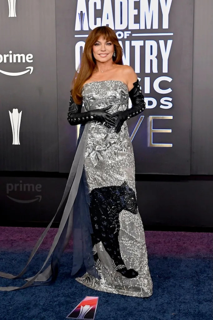 Shania Twain, ACM Awards