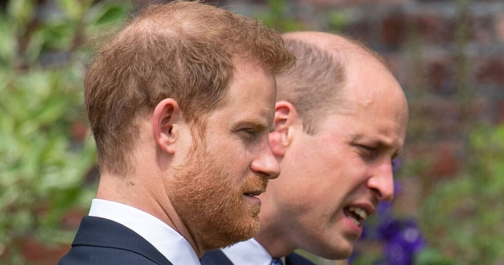 Prince Harry 'missed William' during fatherhood 'struggle' - Celebrity News - Entertainment