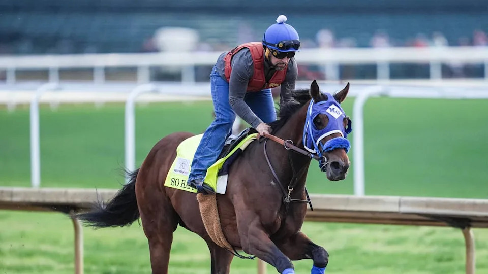 2026 Kentucky Derby contender So Happy works during a morning training session during Kentucky Derby week at Churchill Downs.Matt Stone&sol;Courier Journal &sol; USA TODAY NETWORK via Imagn Images