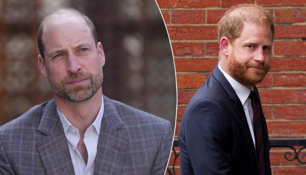 Prince Harry touches Prince William’s raw nerve with brazen move Prince Harry touches Prince William's raw nerve with brazen move