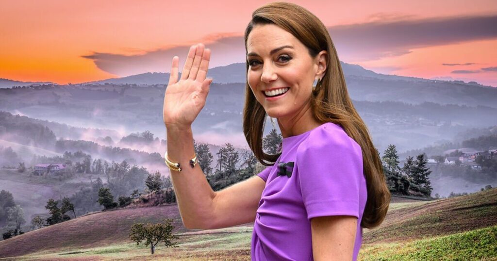 Princess Kate is back in the spotlight - her next step tells us everything | Royal | News