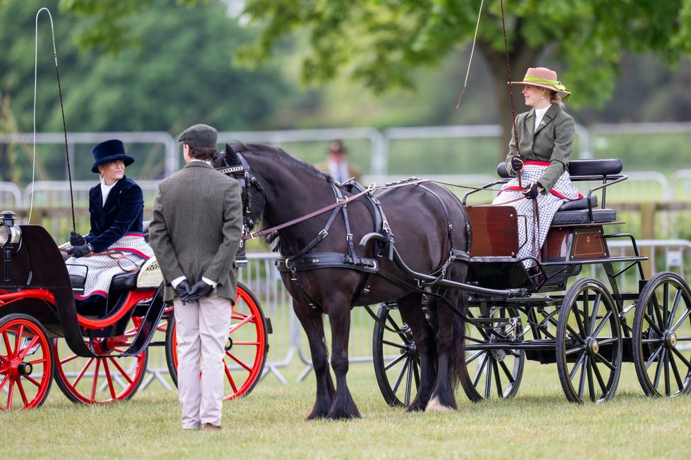 windsor, england may 17: sophie, duchess of edinburgh and lady louise windsor take part in the pol roger meet of the british driving society on day 4 of the royal windsor horse show 2026 on may 17, 2026 in windsor, england. (photo by mark cuthbert/uk press via getty images)