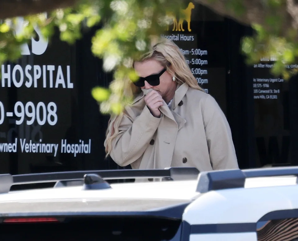 Earlier on Friday, the hitmaker was spotted leaving Paw Works pet store in Thousand Oaks, California (pictured here). NORTH-SUNSET / BACKGRID