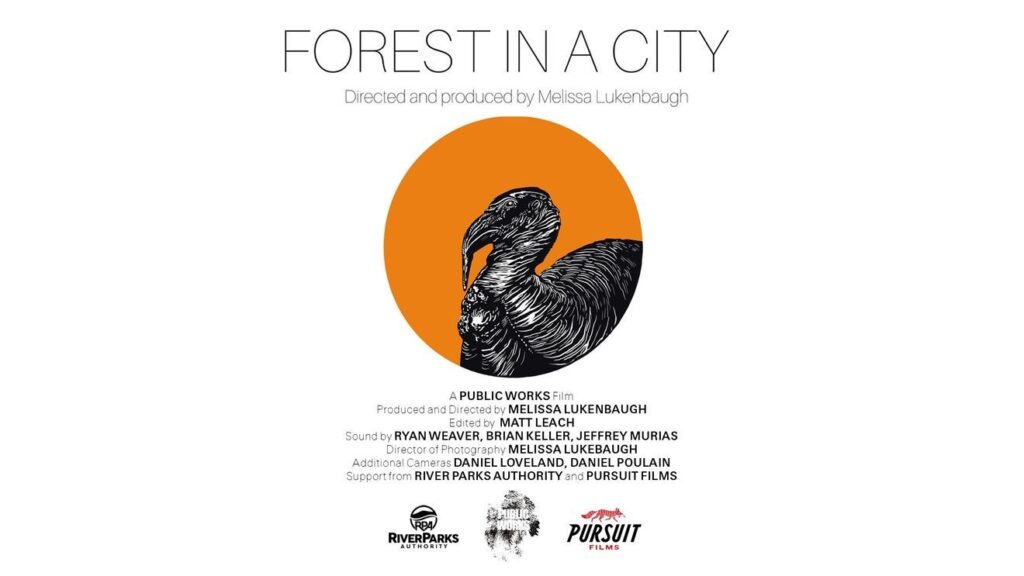 Turkey Mountain documentary to be screened at Philbrook station icon