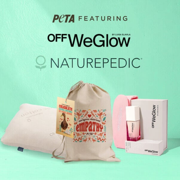 Product line up for celeb gifts