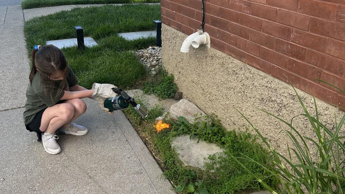 Screencaps reader Brandon S. shows us how he and his daughter have been removing weeds on their property.