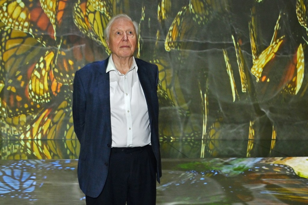 David Attenborough 100th Birthday: King Charles, Paddington Pay Tribute