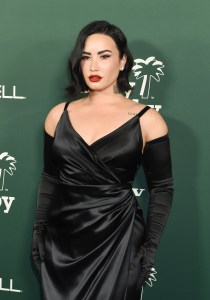 Demi Lovato at the 2023 Baby2Baby Gala held on November 11, 2023 in Los Angeles, California. (Photo by Gilbert Flores/Variety via Getty Images)
