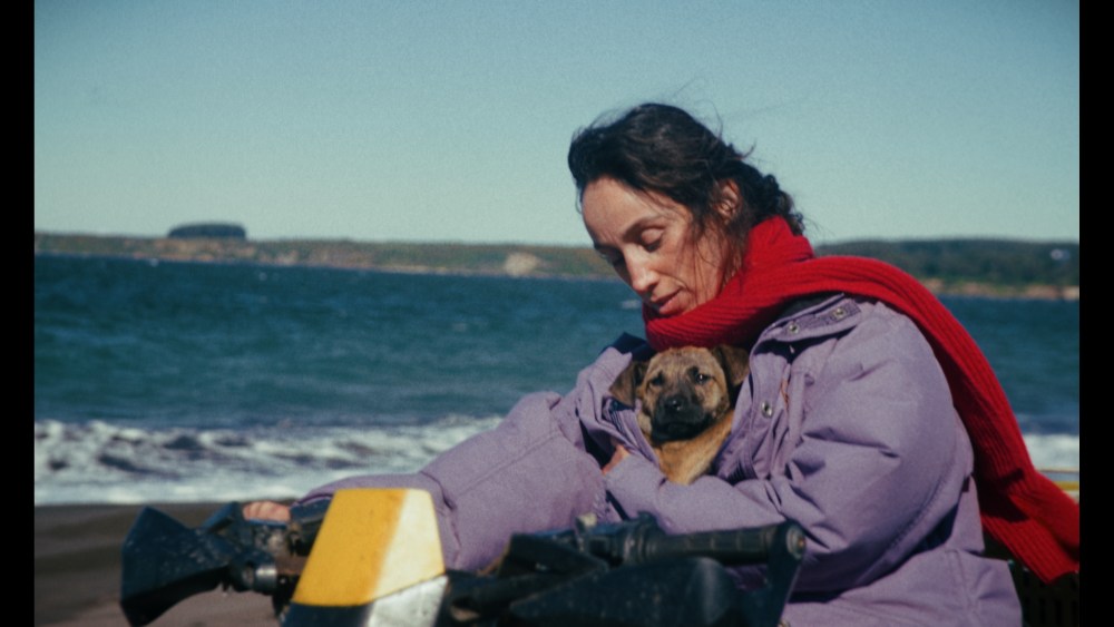 ‘La Perra’ Review: Dominga Sotomayor Shores Up Her Reputation 'La Perra' Review: Dominga Sotomayor Shores Up Her Reputation