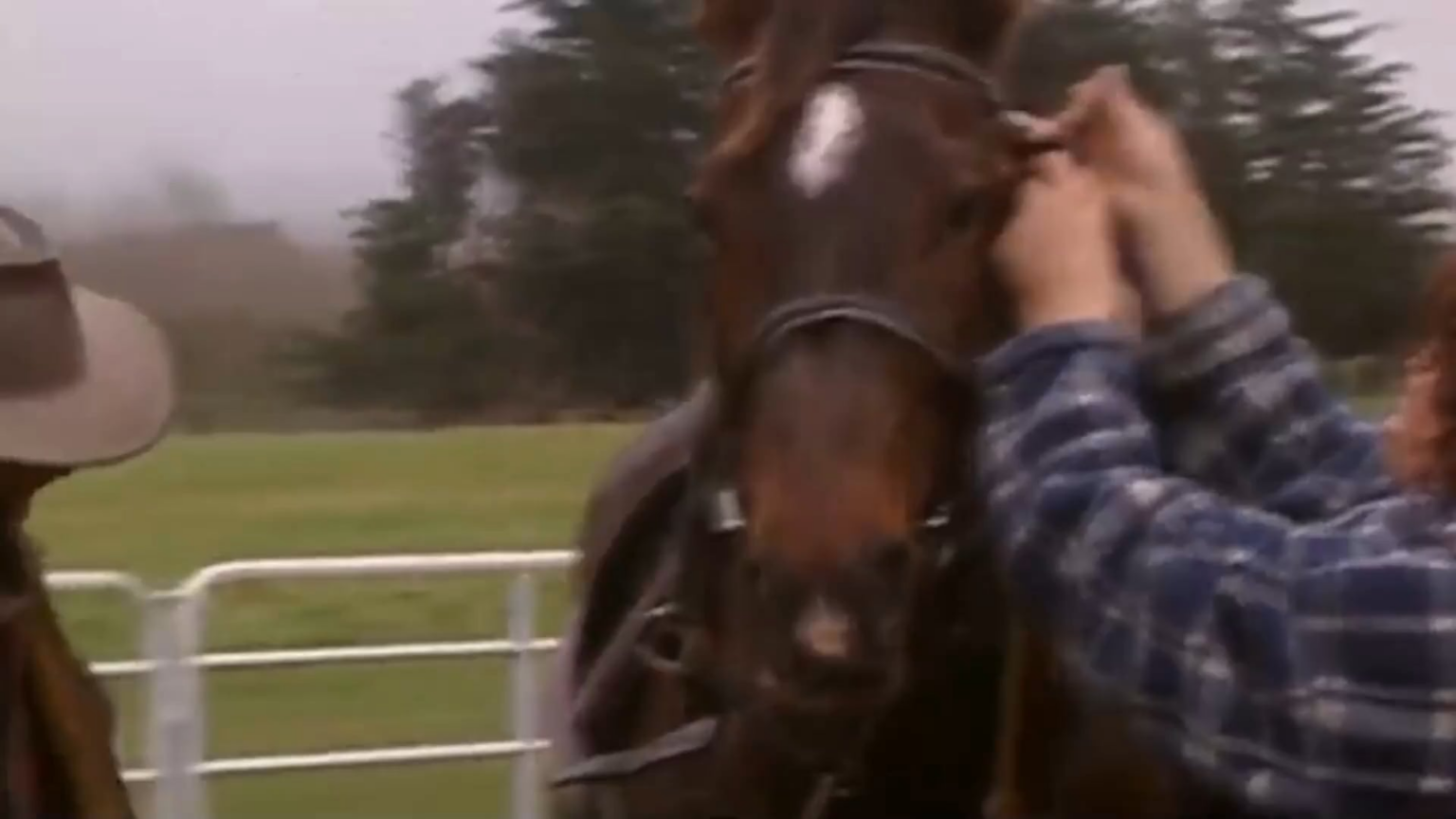 When filming of The Lord of the Rings wrapped 25 years ago, the horses used for the films were auctioned off. Liv Tyler's stunt double, Jane Abbott couldn't afford to buy the horse she worked with (and fell in love with), so Viggo Mortensen bought it for her. "He just did it because he understood."