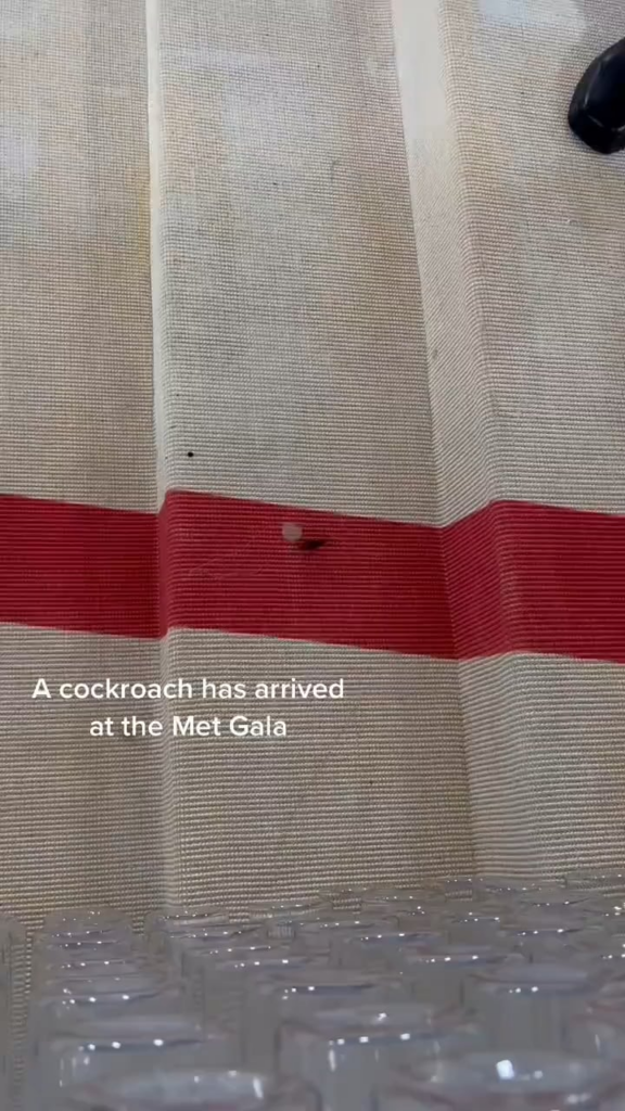 Remember when the cockroach arrived at the Met Gala