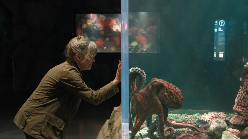 'Remarkably Bright Creatures' Review: Sally Field in Netflix Drama