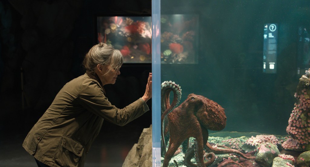 'Remarkably Bright Creatures' Review: Sally Field, Lewis Pullman & Marcellus