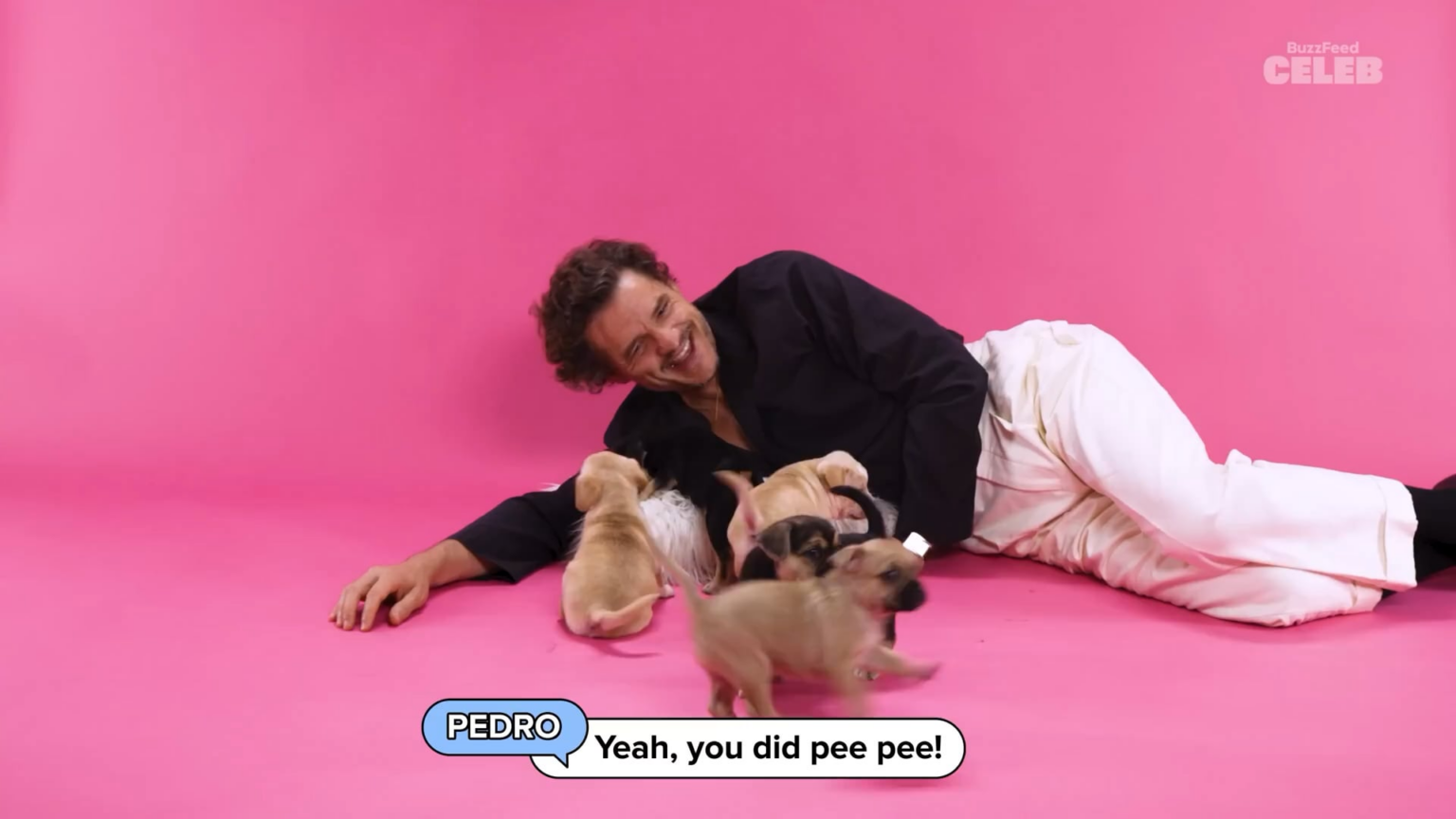 Pedro Pascal’s BuzzFeed Puppy Interview