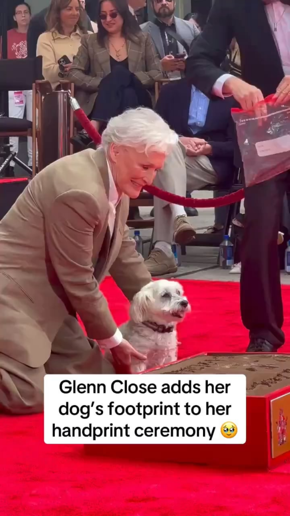 Glenn Close was honored with hand & footprint ceremony at the 2026 TCM Film Festival and included her dog (May 1, 2026)