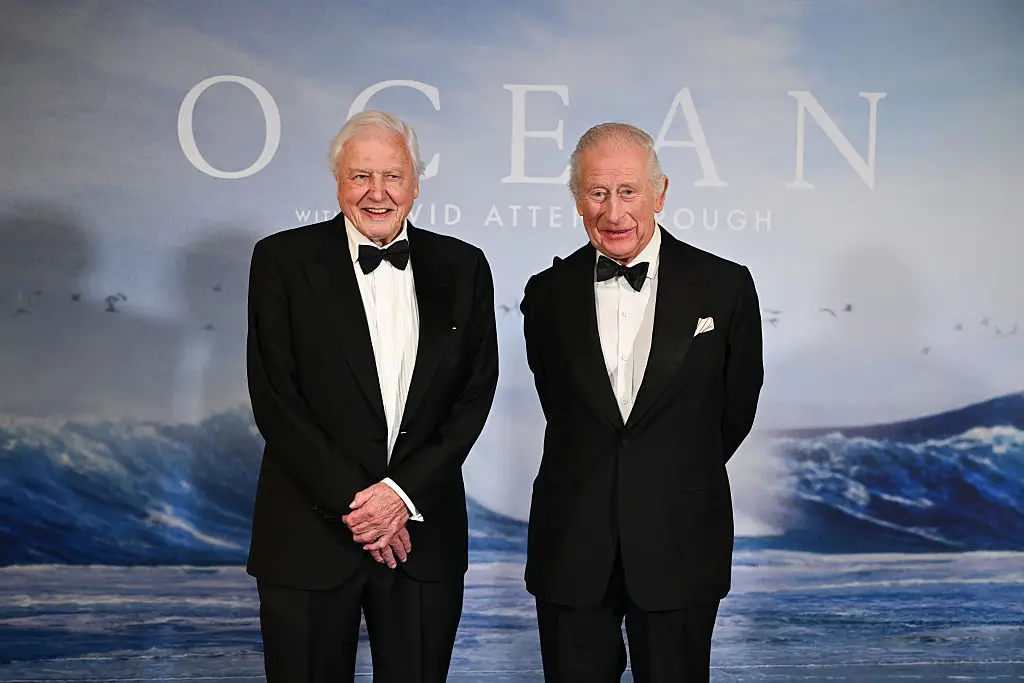 The Royal Family has shared a birthday tribute for Sir David Attenborough (Kate Green / Stringer / Getty Images)