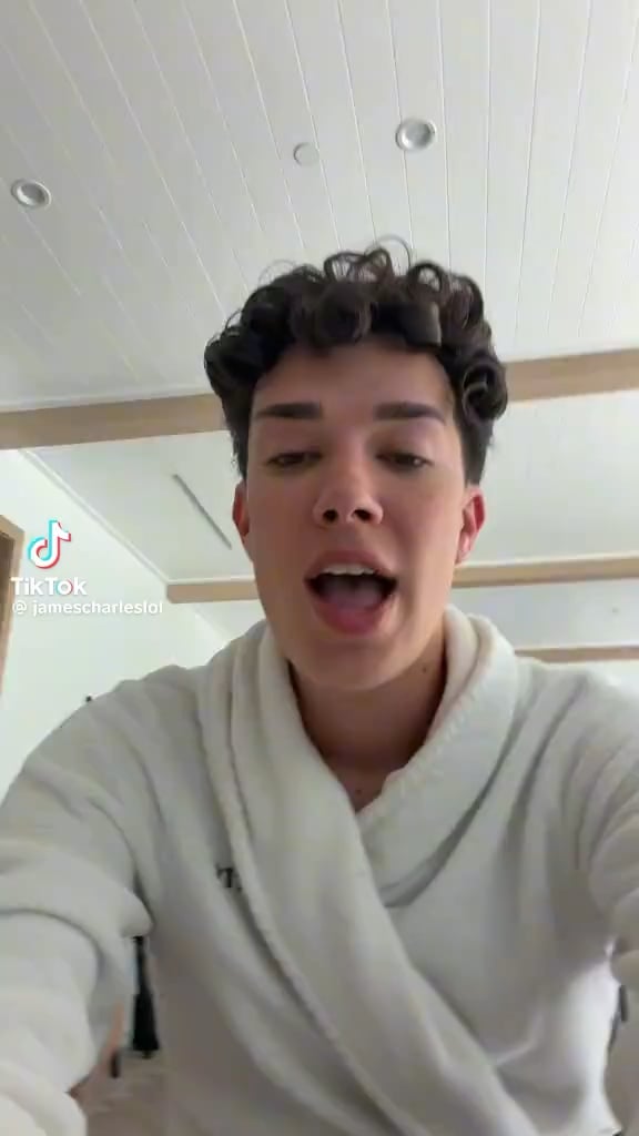 James Charles mocks a woman who messaged him her GoFundMe after she lost her job when Spirit Airlines filed for bankruptcy. Calls her a lazy piece of shit.