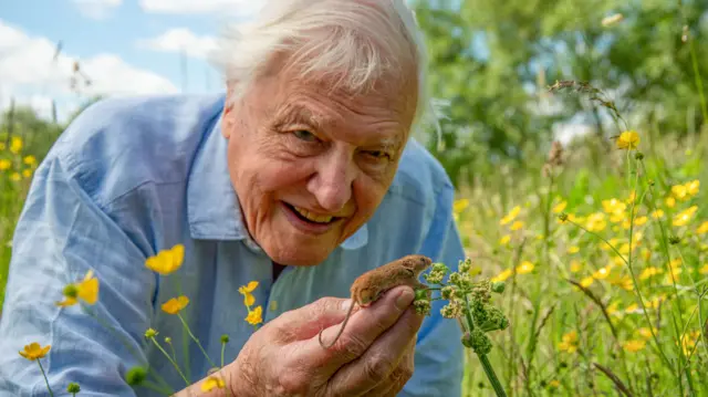 Sir David Attenborough with a harvest mouse. After a life spent travelling the globe, David Attenborough, the world’s most famous naturalist, turns his attention closer to home to explore the wildlife of England’s iconic capital in Wild London. Having lived in London for 75 years, David has an intimate knowledge of the city’s natural history and there's no better guide to introduce us to its most spectacular wildlife secrets.