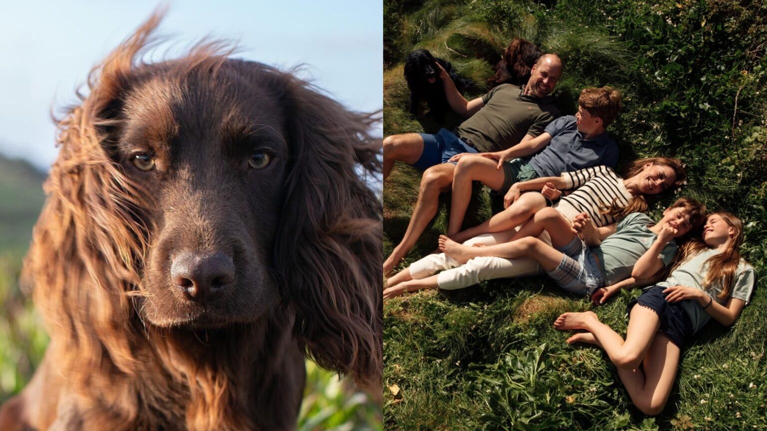 Otto the dog; the Wales family laying in grass