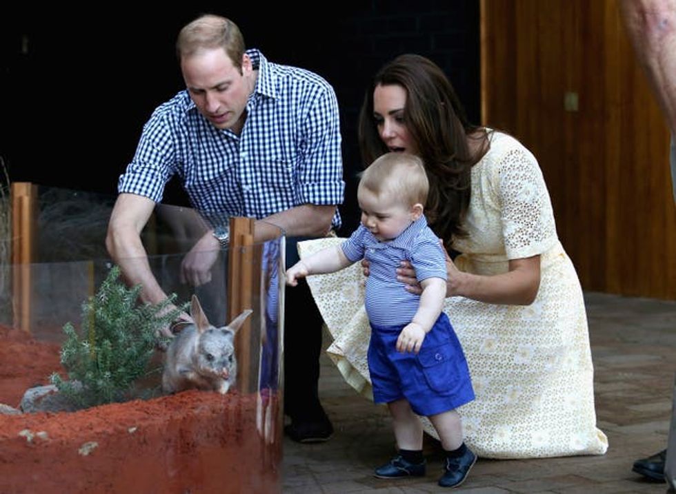George meeting a Bilby called George at Taronga Zoo in Sydney, Australia in 2014