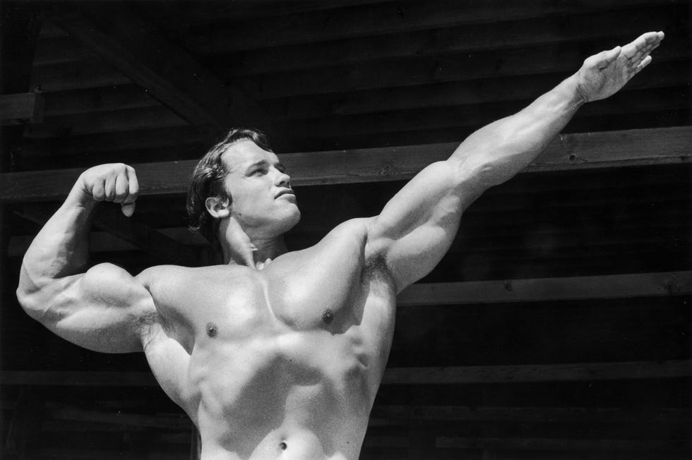 Arnold Schwarzenegger career highlights arnold schwarzenegger career highlights