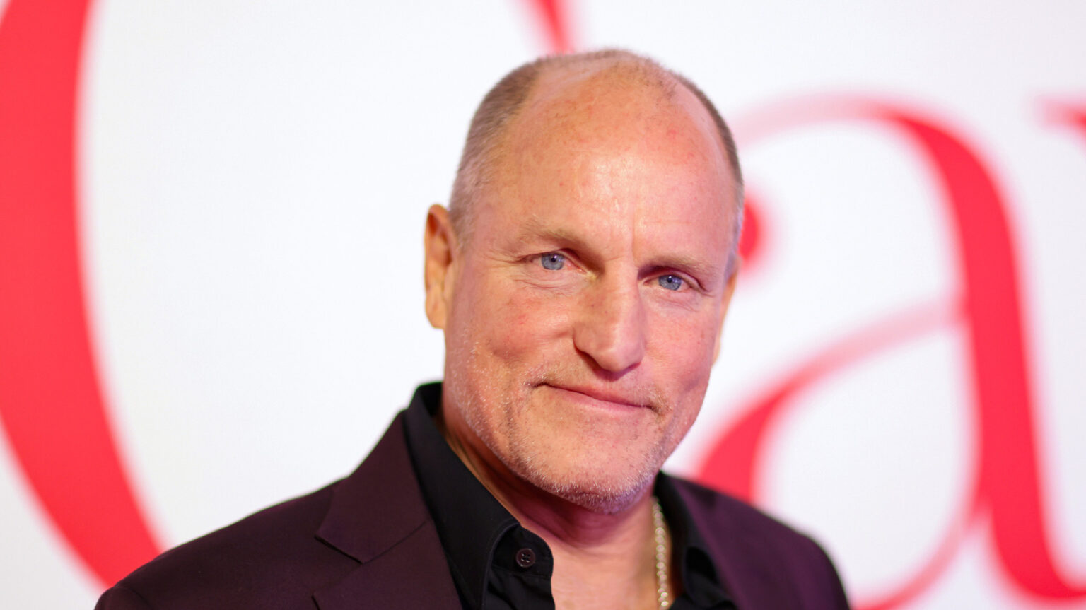 Celebrities Over 40 Who Ditched Dairy For Glowing Skin