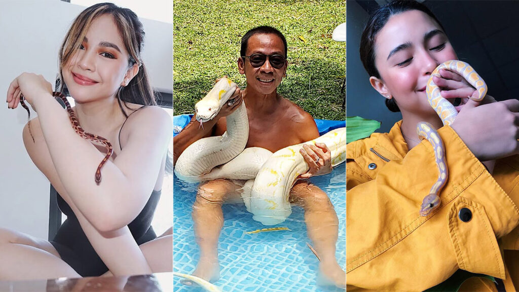 Janella Salvador, Kim Atienza, and Yassi Pressman are some of the famous personalities who have snakes as pets.