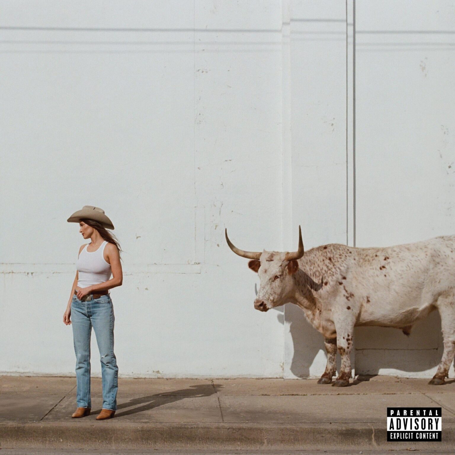 Kacey Musgraves has released her 6th album "Middle of Nowhere"