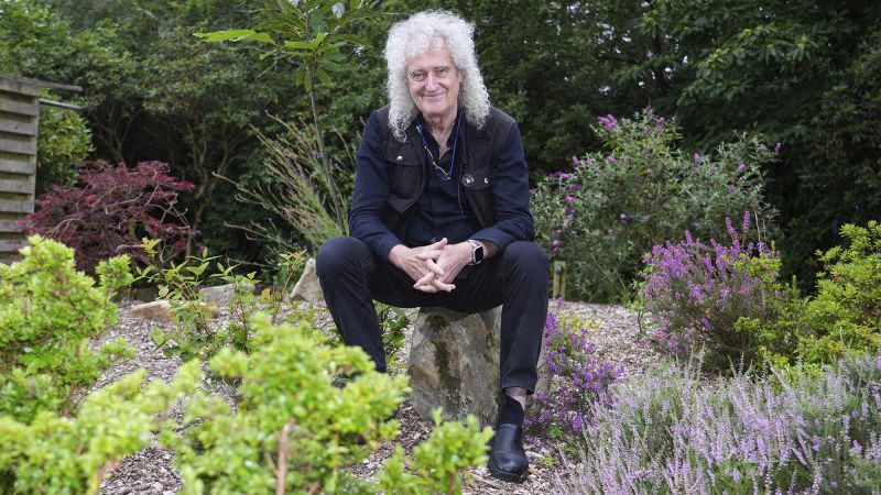 Queen guitarist Brian May barred from planting daffodils in his village on safety grounds