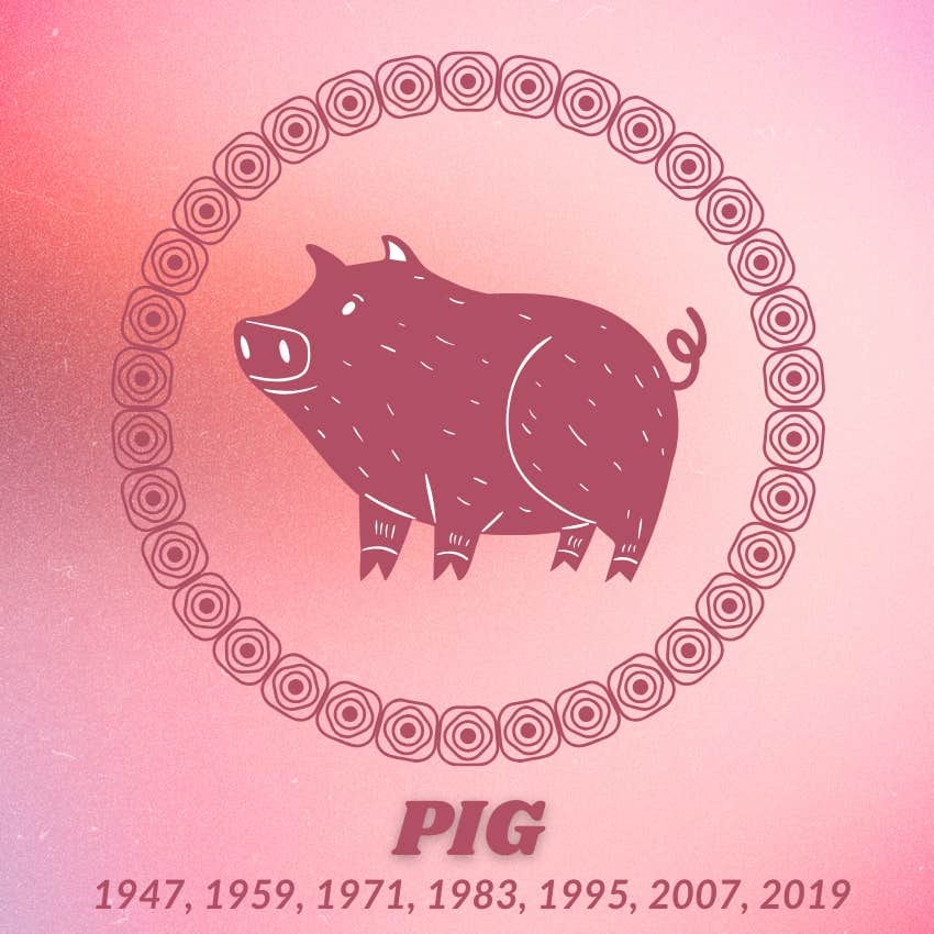 pig chinese zodiac signs luck prosperity may 27 2026