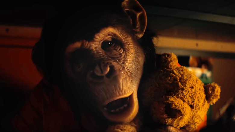 Ben holding a teddy bear in Primate