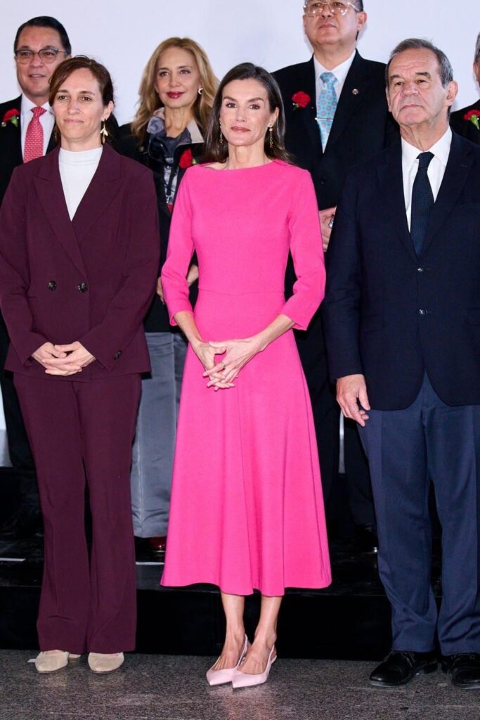 Queen Letizia of Spain at the 17th Ibero-American Conference of Health Ministers