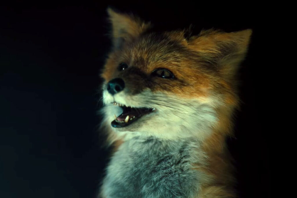 Teaser Trailer: Oddball Aussie Comedy "The Fox"