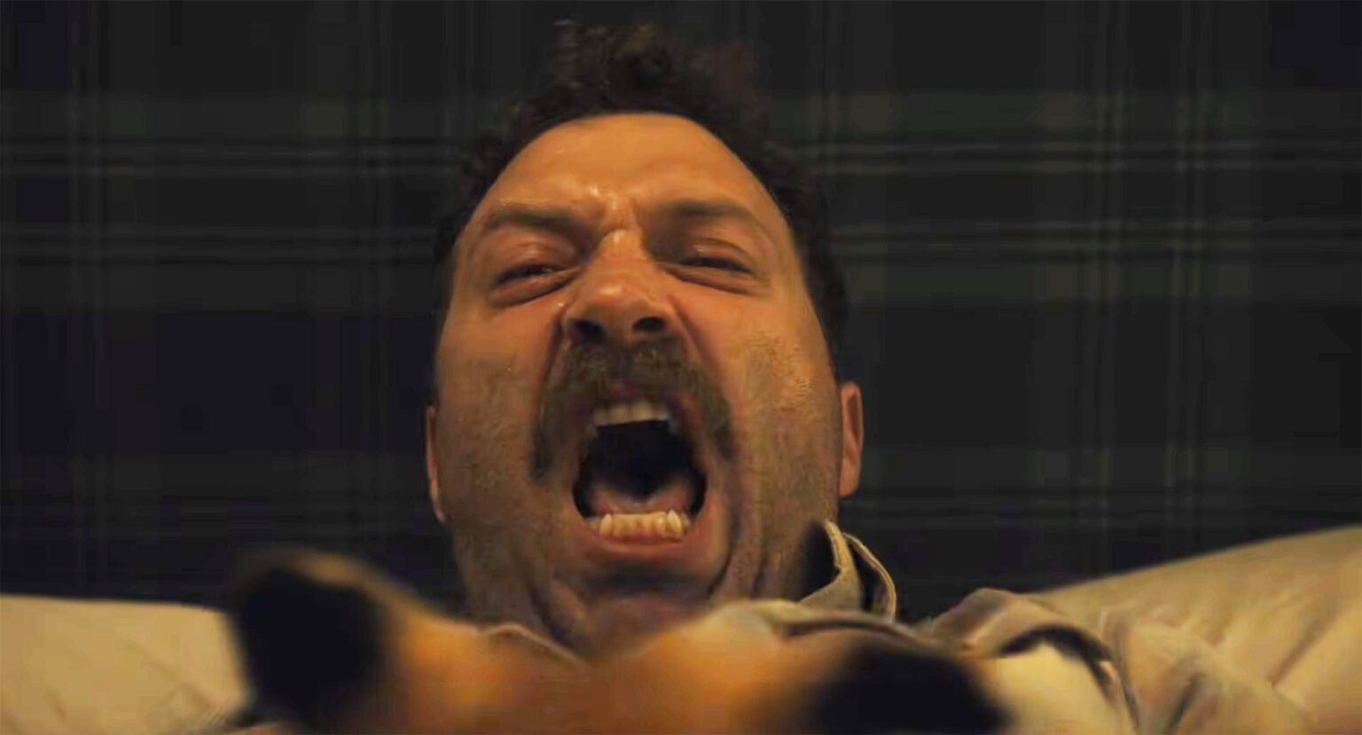 First Look Teaser for 'The Fox' Zany Romance Satire with Jai Courntey