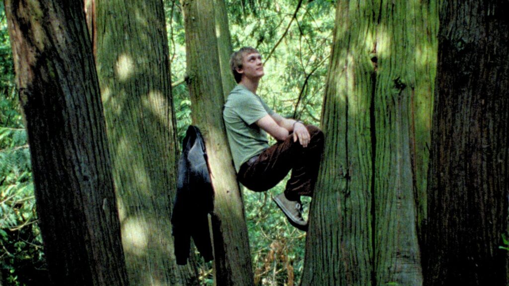 ‘Silent Friend’ review: This film will change the way you see the trees : NPR 'Silent Friend' review: This film will change the way you see the trees : NPR