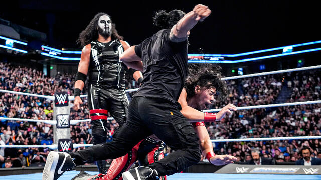 WWE Photo