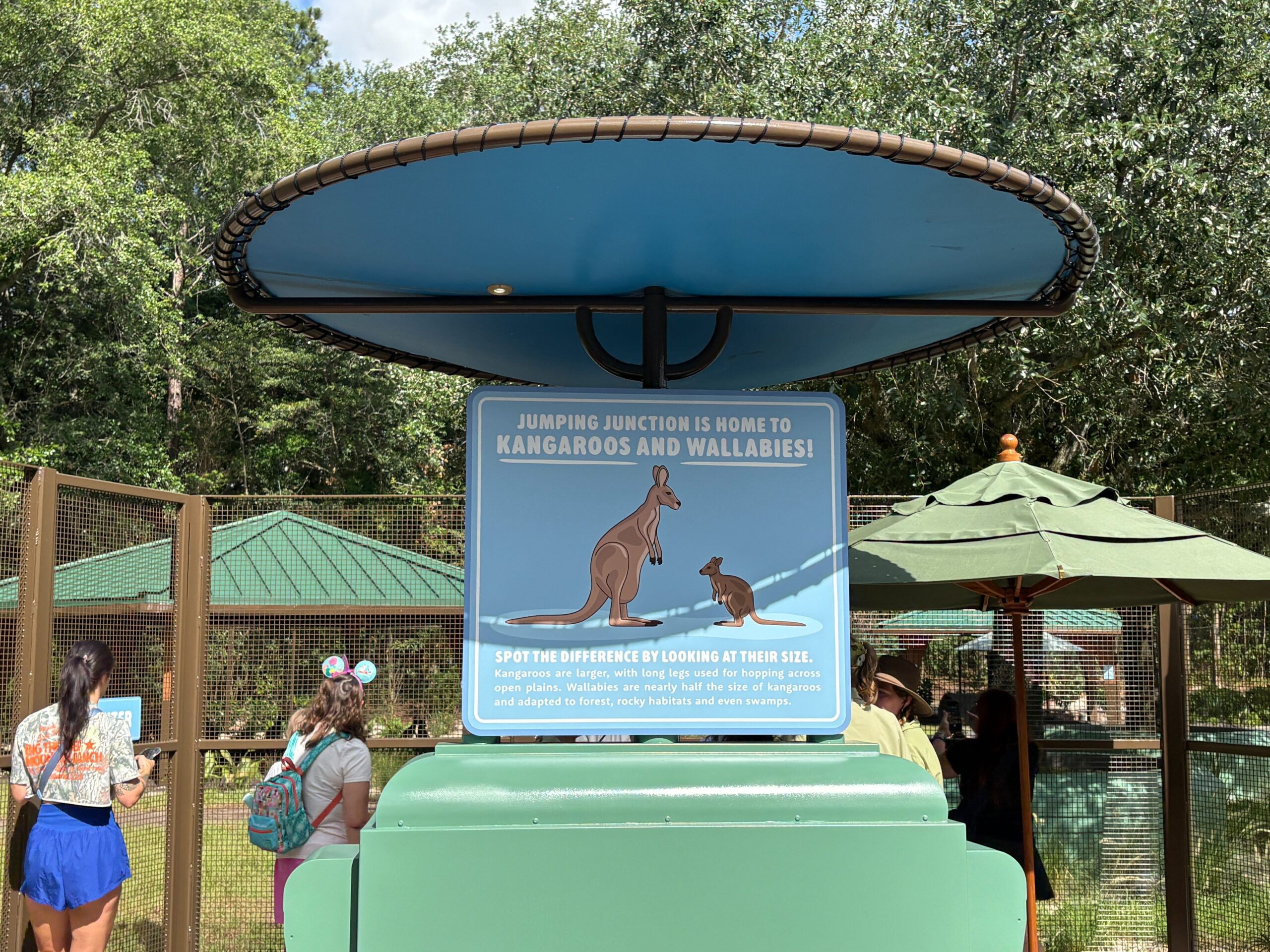 Bluey's Wild World Celebrates All Things Bluey at Disney's Animal Kingdom