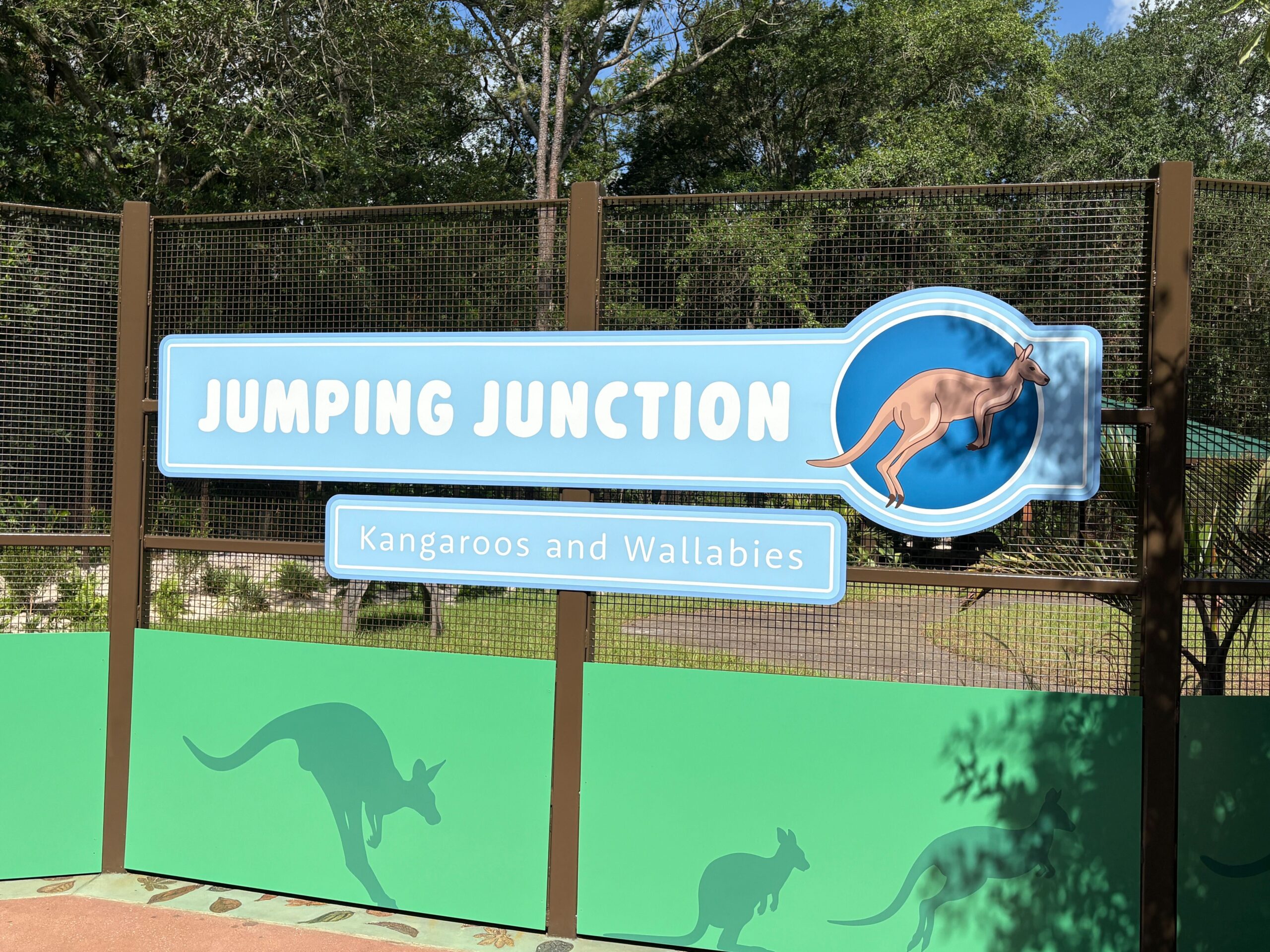 Bluey's Wild World Celebrates All Things Bluey at Disney's Animal Kingdom