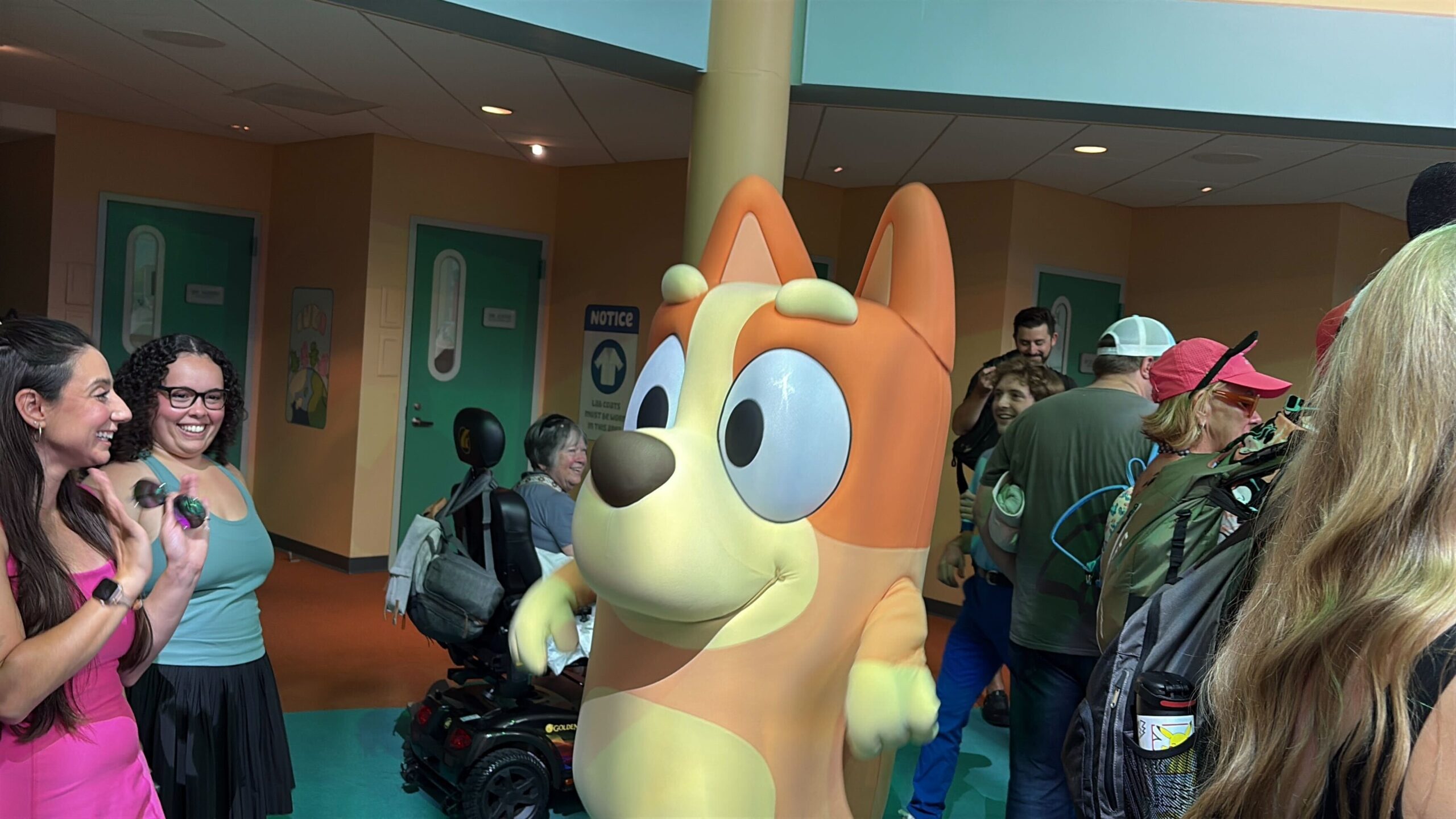 Bluey's Wild World Celebrates All Things Bluey at Disney's Animal Kingdom